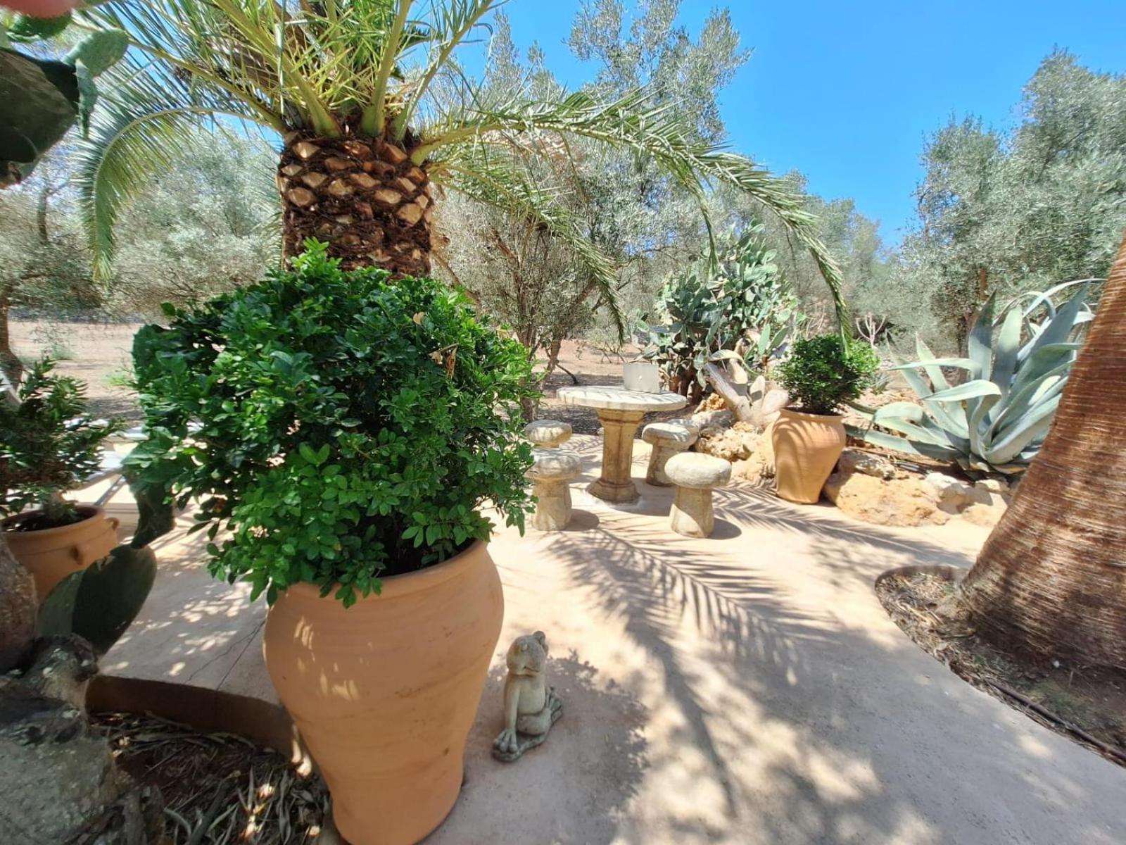 Holiday home Redonda 1 Costitx (Mallorca)